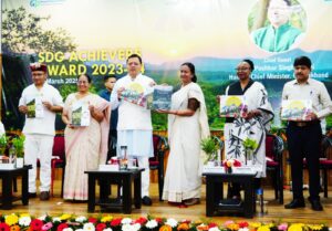 SDG Achievers Award