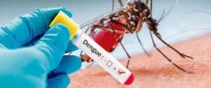 Dengue-Chikungunya