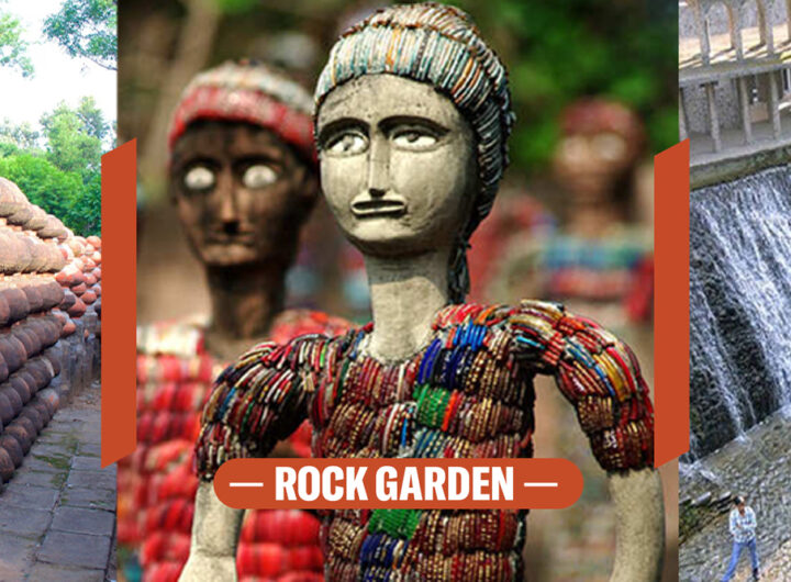 Rock Garden