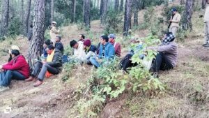 Chief Forest Conservator