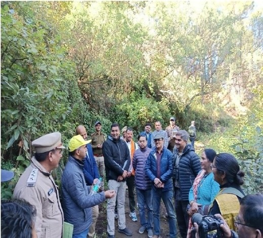 Chief Forest Conservator