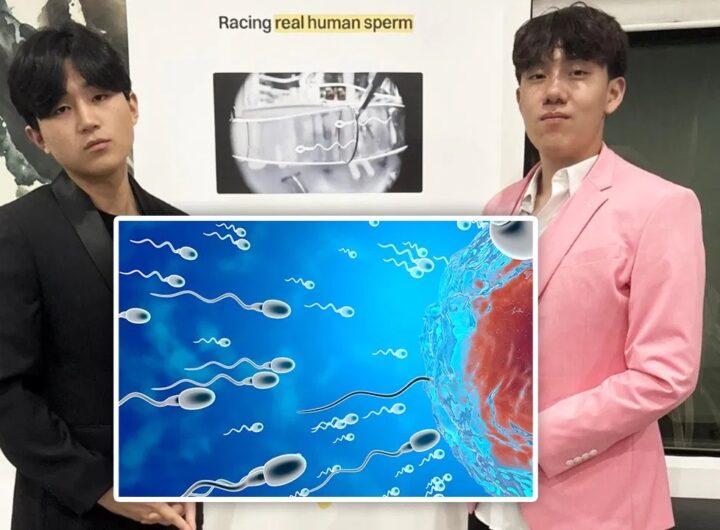 Sperm Racing
