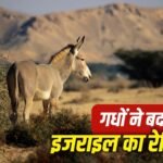 WhatsApp Image 2026-09-18 at 10.22.17 AM
